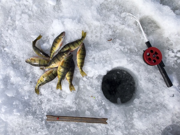 Ice fishing in michigan