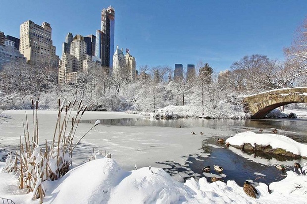 Activities to do in the US for your winter vacations